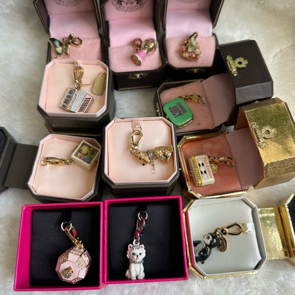 Juicy Couture Gold and Pink Charm Set